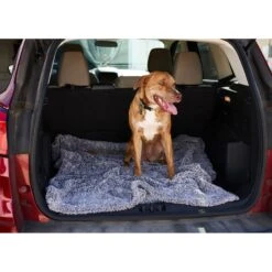 Pet Parents Premium Cat & Dog Blanket 16 Pet Parents Premium Cat & Dog Blanket -PetSafe Shop Sale 367742 PT7. AC SS1800 V1696280617