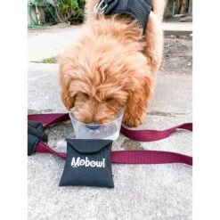 Mobowl Carrying Pouch Travel Dog & Cat Bowl, 2-cup -PetSafe Shop Sale 369116 PT7. AC SS1800 V1646948191