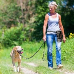 Pet Parade Pooch Pal Dog Feeder, Gray 15 Pet Parade Pooch Pal Dog Feeder, Gray -PetSafe Shop Sale 369419 PT6. AC SS1800 V1648515121