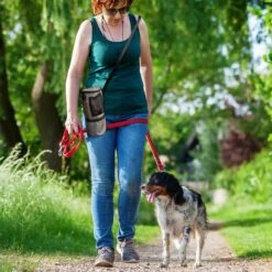 Pet Parade Pooch Pal Dog Feeder, Gray 16 Pet Parade Pooch Pal Dog Feeder, Gray -PetSafe Shop Sale 369419 PT7. AC SS1800 V1648505834