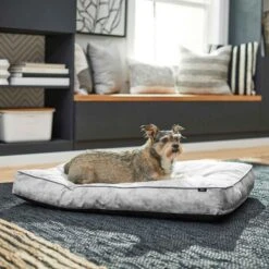 Disney Mickey Mouse Pillow Cat & Dog Bed & Disney Mickey Mouse Bolster Cat & Dog Bed -PetSafe Shop Sale 370380 PT4. AC SS1800 V1645807915