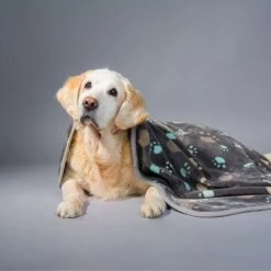 Allisandro Microplush Fleece Polyester Dog & Cat Blanket -PetSafe Shop Sale 372085 PT2. AC SS1800 V1650014536