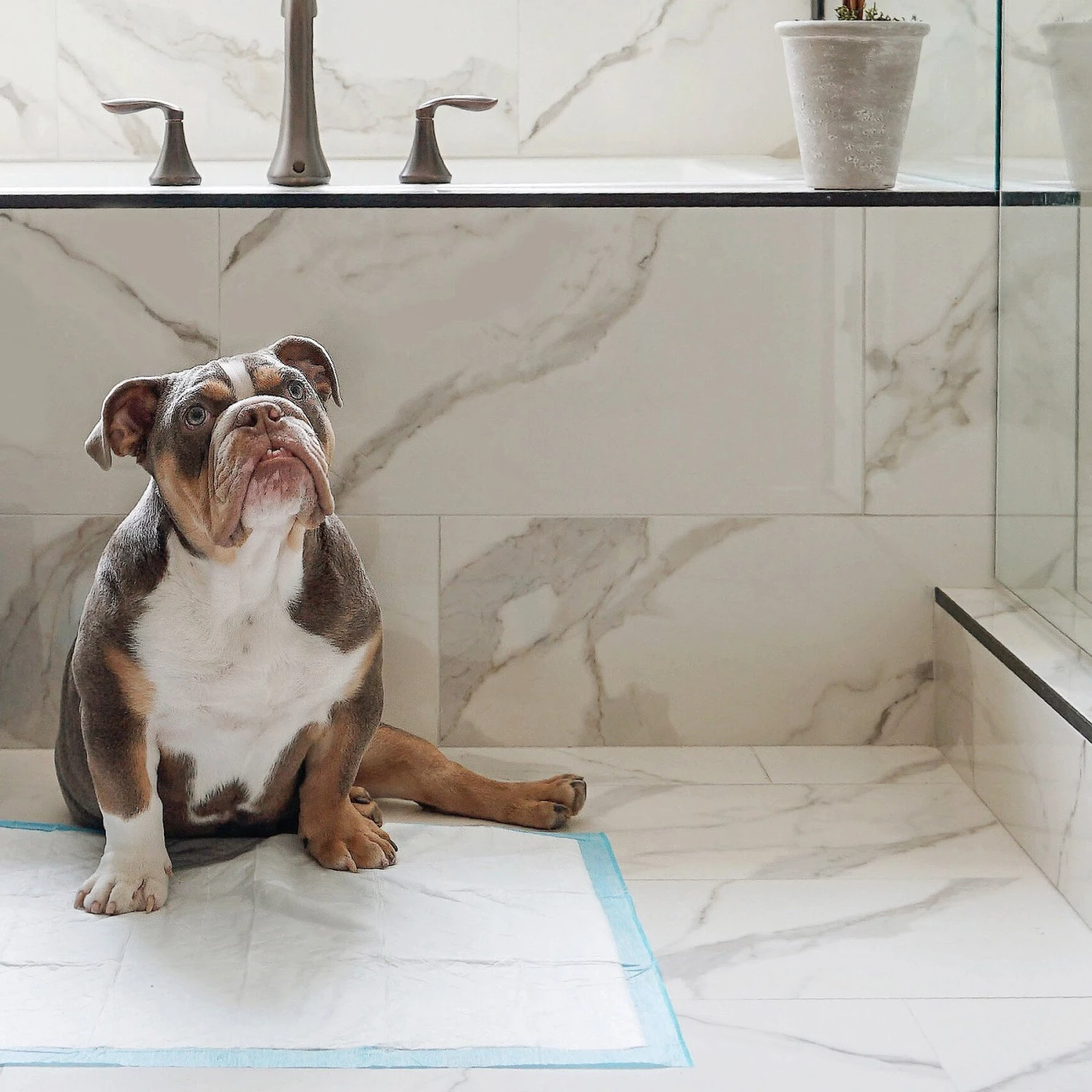 Four Paws Wee-Wee Superior Performance Dog Pee Pads, 14 Count 3 Four Paws Wee-Wee Superior Performance Dog Pee Pads, 14 Count - Image 3