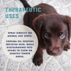 Rocco & Roxie Supply Co. No Chew Extreme Bitter Dog Spray, 8-oz Bottle -PetSafe Shop Sale 504510 PT5. AC SS1800 V1698959999