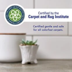 Rocco & Roxie Supply Co. Oxy Stain Remover Powerful Multi-Purpose Cleaner, 32-oz Bottle -PetSafe Shop Sale 504534 PT2. AC SS1800 V1648283183