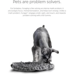 Pet Parents Forager Snuffle Mat & Slow Feeder Dog Bowl -PetSafe Shop Sale 505542 PT5. AC SS1800 V1696255492