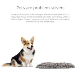 Pet Parents Forager Slow Feeder Cat & Dog Snuffle Mat & Feeding Mat 13 Pet Parents Forager Slow Feeder Cat & Dog Snuffle Mat & Feeding Mat -PetSafe Shop Sale 505602 PT4. AC SS1800 V1696008728