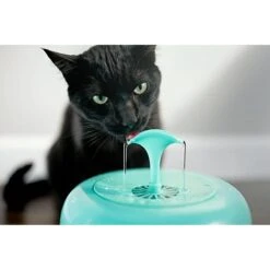 IntelliLeash Purrfect Water Fountain Dog & Cat Waterer -PetSafe Shop Sale 517054 PT2. AC SS1800 V1651557382