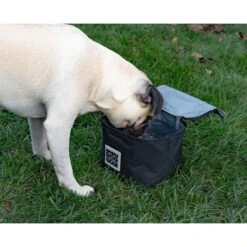 Mobile Dog Gear Insulated Food Carriers Dog Car Accessories -PetSafe Shop Sale 525462 PT4. AC SS1800 V1650400304