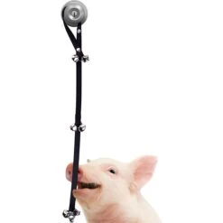 SunGrow Hanging & Communication Tool Dog & Cat Training Potty Doorbell, 34-in 7 SunGrow Hanging & Communication Tool Dog & Cat Training Potty Doorbell, 34-in -PetSafe Shop Sale 533950 PT2. AC SS1800 V1657658635