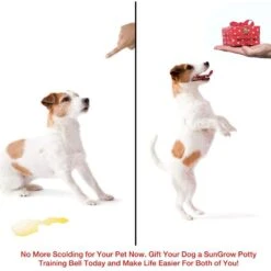 SunGrow Hanging & Communication Tool Dog & Cat Training Potty Doorbell, 34-in 8 SunGrow Hanging & Communication Tool Dog & Cat Training Potty Doorbell, 34-in -PetSafe Shop Sale 533950 PT3. AC SS1800 V1657658635