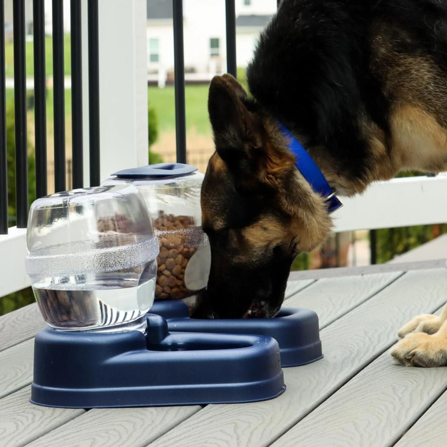 Bergan Gourmet Gravity Refill Dog Feeder 3 Bergan Gourmet Gravity Refill Dog Feeder - Image 3