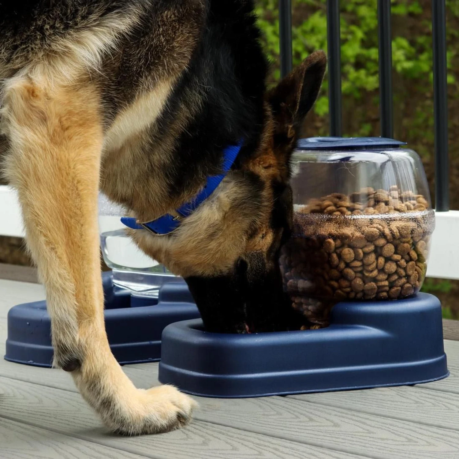 Bergan Gourmet Gravity Refill Dog Feeder 4 Bergan Gourmet Gravity Refill Dog Feeder - Image 4