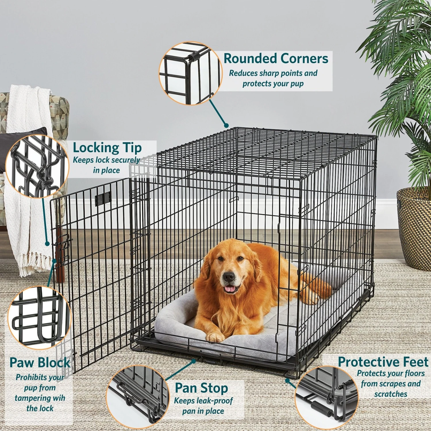 MidWest LifeStages Single Door Collapsible Wire Dog Crate 2 MidWest LifeStages Single Door Collapsible Wire Dog Crate - Image 2