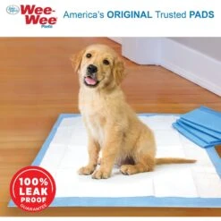 Wee-Wee Little Dog Pee Pads 16.5 X 23.5-in & Four Paws Wee-Wee Disposable Dog Diapers -PetSafe Shop Sale 609502 PT4. AC SS1800 V1660403216