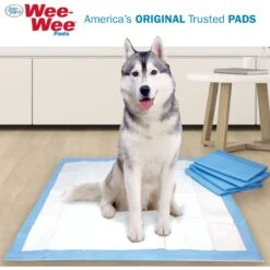 Four Paws Wee-Wee Disposable Dog Diapers & Four Paws Wee-Wee Odor Control X-Large Dog Pads With Febreze Freshness -PetSafe Shop Sale 609510 PT8. AC SS1800 V1660403217