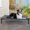 K&H Pet Products Original Pet Cot Elevated Dog Bed