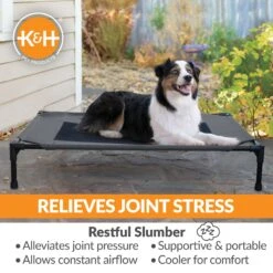 K&H Pet Products Original Pet Cot Elevated Dog Bed -PetSafe Shop Sale 611958 PT5. AC SS1800 V1659484089