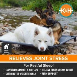 K&H Pet Products All Weather Elevated Dog Cot Bed, Gray -PetSafe Shop Sale 613782 PT2. AC SS1800 V1660310453