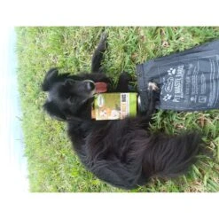 BioBag Standard Pet Waste Bags, 50 Count 6 BioBag Standard Pet Waste Bags, 50 Count -PetSafe Shop Sale 61624 PT3. AC SS1800 V1596031256