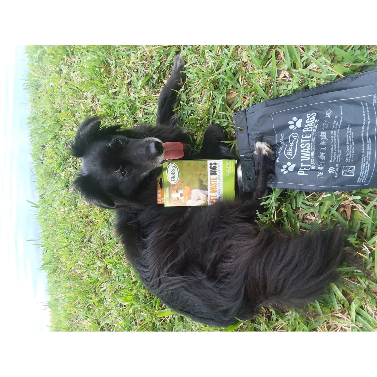 BioBag Standard Pet Waste Bags, 50 Count 3 BioBag Standard Pet Waste Bags, 50 Count - Image 3