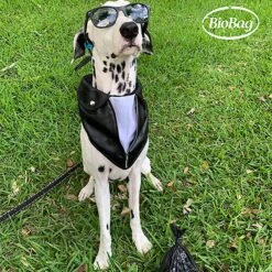 BioBag Large Pet Waste Bags -PetSafe Shop Sale 61625 PT4. AC SS1800 V1628863632