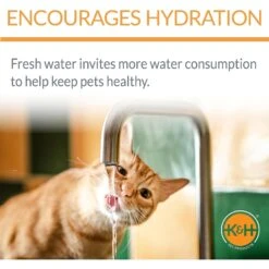 K&H Pet Products CleanFlow Filtered Water Dog Bowl, Small, 80-oz Bowl + 90-oz Reservoir -PetSafe Shop Sale 61705 PT3. AC SS1800 V1637627797