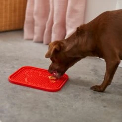 Disney Mickey Silicone Dog & Cat Lick Mat & Disney Mickey Silicone Dog & Cat Lick Mat -PetSafe Shop Sale 623358 PT3. AC SS1800 V1661895905