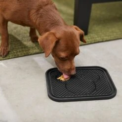 Disney Mickey Silicone Dog & Cat Lick Mat & Disney Mickey Silicone Dog & Cat Lick Mat -PetSafe Shop Sale 623358 PT7. AC SS1800 V1661896456