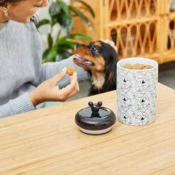 Disney Table Scraps Mickey Mouse Hot Diggity Dog Recipe Upcycled Jerky Dog Treats, 5-oz Bag & Disney Mickey Lines Ceramic Treat Jar -PetSafe Shop Sale 623494 PT7. AC SS1800 V1661896454