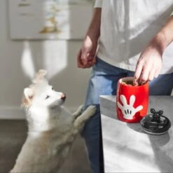 Disney Table Scraps Mickey Mouse Hot Diggity Dog Recipe Upcycled Jerky Dog Treats, 5-oz Bag & Disney Mickey Mouse Ceramic Dog & Cat Treat Jar -PetSafe Shop Sale 623510 PT8. AC SS1800 V1661896152
