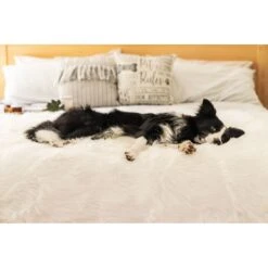 PawBrands PupProtector Waterproof Throw Dog Blanket -PetSafe Shop Sale 625054 PT4. AC SS1800 V1661276120