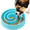 SunGrow Puzzle Cat, Dog & Small-Pet Maze Feeder & Water Bowl