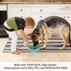 SunGrow Puzzle Cat, Dog & Small-Pet Maze Feeder & Water Bowl 10 SunGrow Puzzle Cat, Dog & Small-Pet Maze Feeder & Water Bowl -PetSafe Shop Sale 629262 PT4. AC SS1800 V1675804484