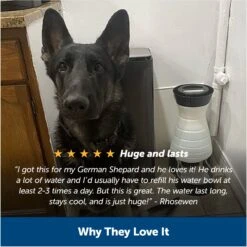 PetSafe Healthy Gravity Refill Dog & Cat Waterer -PetSafe Shop Sale 63119 PT5. AC SS1800 V1676398827
