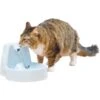 PetSafe Drinkwell Original Plastic Dog & Cat Fountain