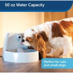 PetSafe Drinkwell Original Plastic Dog & Cat Fountain -PetSafe Shop Sale 63136 PT3. AC SS1800 V1590605522