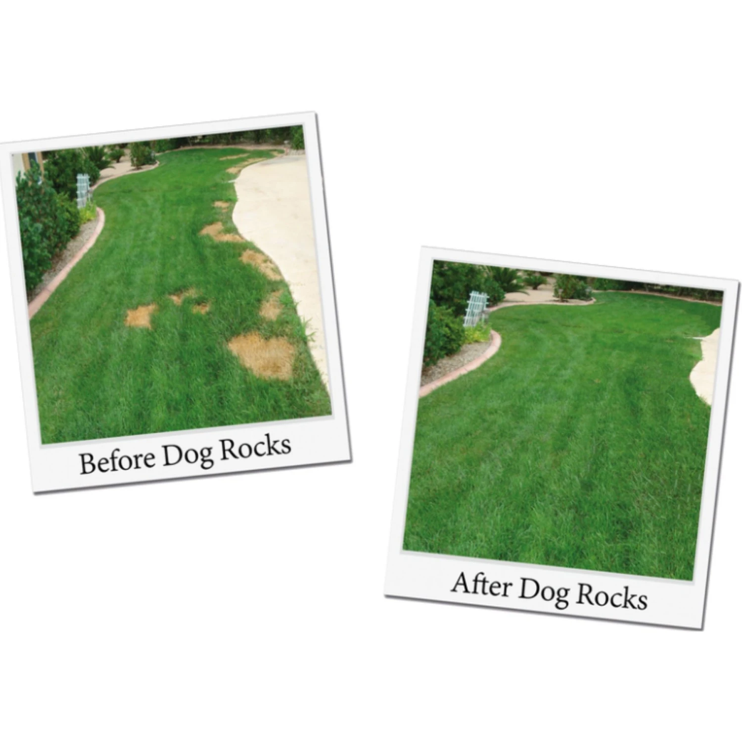 Dog Rocks Grass & Lawn Saver Dog Urine Burn Patch Protection 2 Dog Rocks Grass & Lawn Saver Dog Urine Burn Patch Protection - Image 2