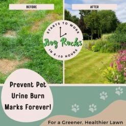 Dog Rocks Grass & Lawn Saver Dog Urine Burn Patch Protection 10 Dog Rocks Grass & Lawn Saver Dog Urine Burn Patch Protection -PetSafe Shop Sale 63233 PT2. AC SS1800 V1679931912