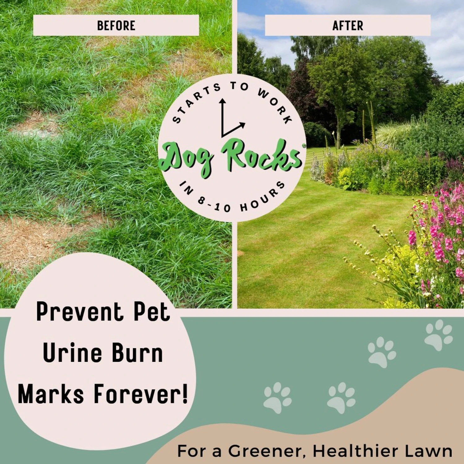 Dog Rocks Grass & Lawn Saver Dog Urine Burn Patch Protection 3 Dog Rocks Grass & Lawn Saver Dog Urine Burn Patch Protection - Image 3