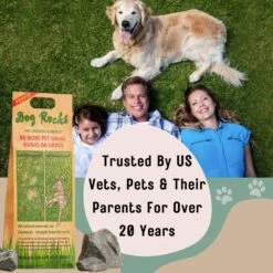 Dog Rocks Grass & Lawn Saver Dog Urine Burn Patch Protection 11 Dog Rocks Grass & Lawn Saver Dog Urine Burn Patch Protection -PetSafe Shop Sale 63233 PT3. AC SS1800 V1679931912