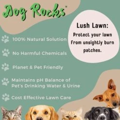 Dog Rocks Grass & Lawn Saver Dog Urine Burn Patch Protection 13 Dog Rocks Grass & Lawn Saver Dog Urine Burn Patch Protection -PetSafe Shop Sale 63233 PT5. AC SS1800 V1679931072