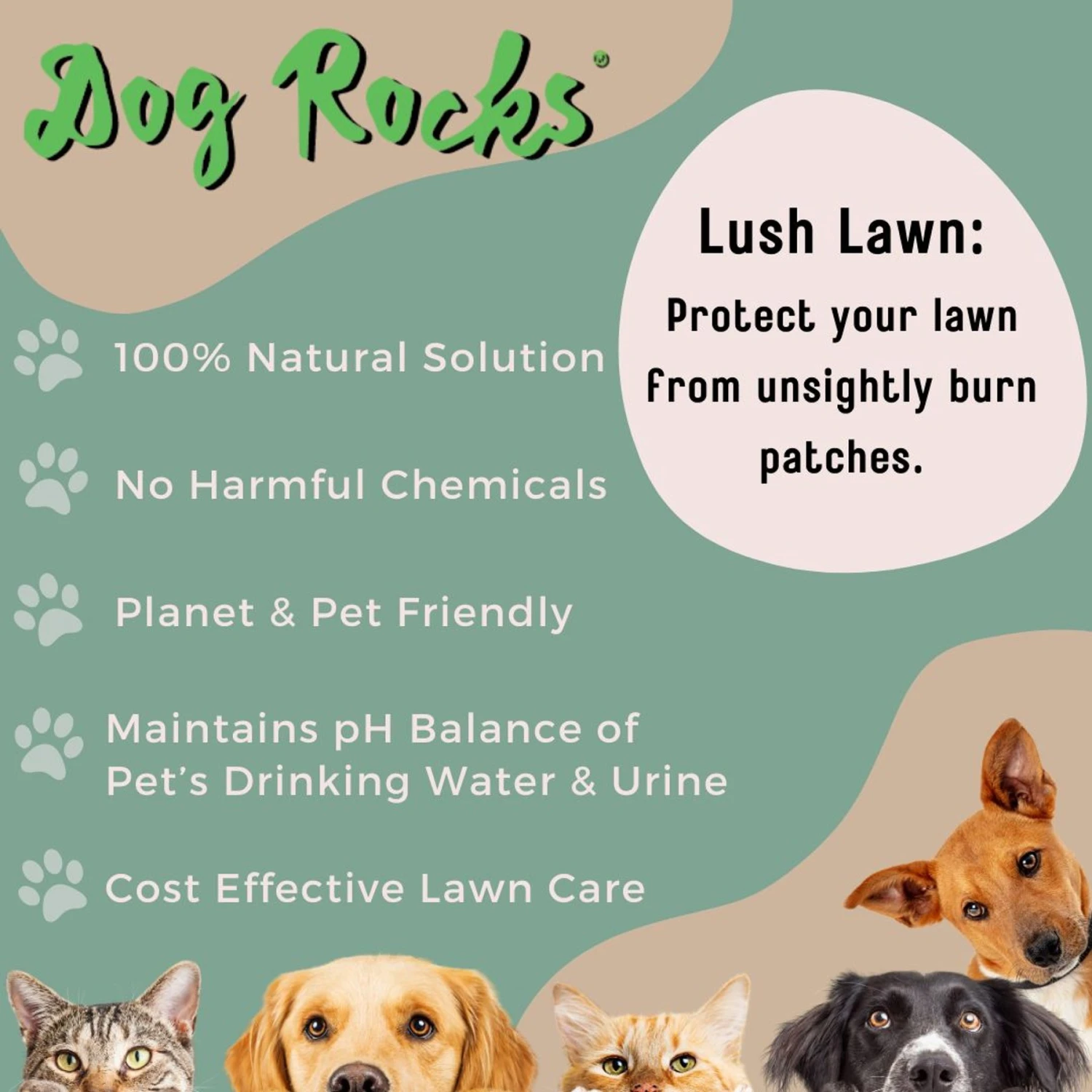 Dog Rocks Grass & Lawn Saver Dog Urine Burn Patch Protection 6 Dog Rocks Grass & Lawn Saver Dog Urine Burn Patch Protection - Image 6