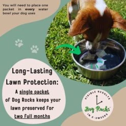 Dog Rocks Grass & Lawn Saver Dog Urine Burn Patch Protection 14 Dog Rocks Grass & Lawn Saver Dog Urine Burn Patch Protection -PetSafe Shop Sale 63233 PT6. AC SS1800 V1679931130