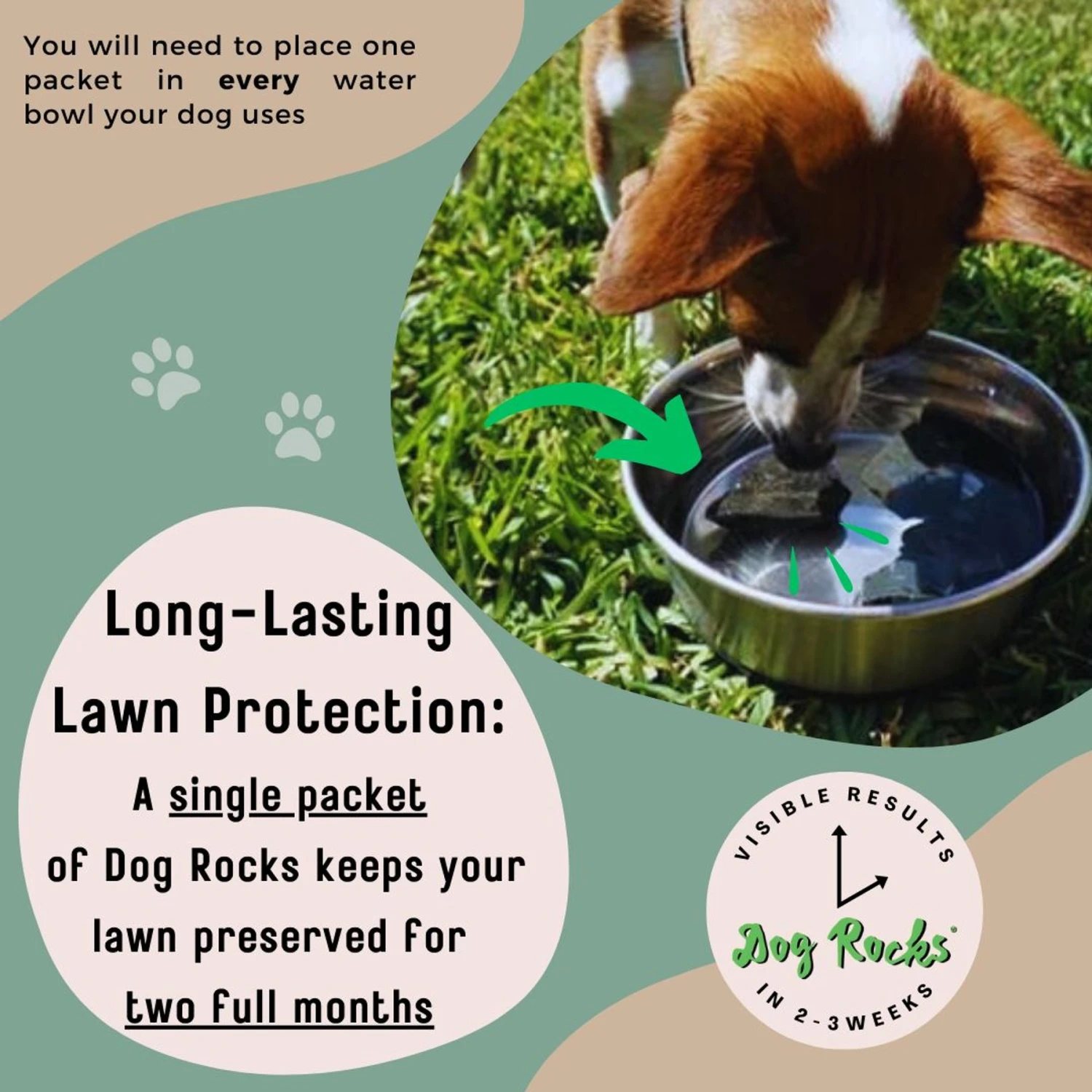 Dog Rocks Grass & Lawn Saver Dog Urine Burn Patch Protection 7 Dog Rocks Grass & Lawn Saver Dog Urine Burn Patch Protection - Image 7