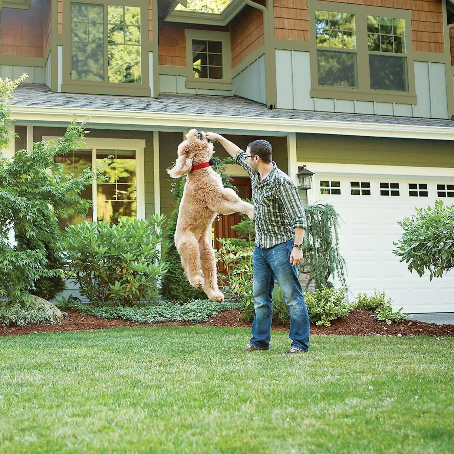 PetSafe Wireless Containment System 8 PetSafe Wireless Containment System - Image 8
