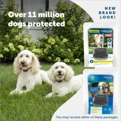 PetSafe Stubborn Dog In-Ground Receiver Collar 11 PetSafe Stubborn Dog In-Ground Receiver Collar -PetSafe Shop Sale 63902 PT5. AC SS1800 V1687288647