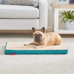 Brindle 2-in Orthopedic With Machine Washable Cover Dog & Cat Bed -PetSafe Shop Sale 639206 PT2. AC SS1800 V1662758577