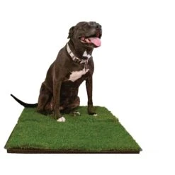 Gotta Go Grass The Natural Relief Dog Potty Pads, 16-in X 24-in, 2 Count 11 Gotta Go Grass The Natural Relief Dog Potty Pads, 16-in X 24-in, 2 Count -PetSafe Shop Sale 640254 PT4. AC SS1800 V1663018557
