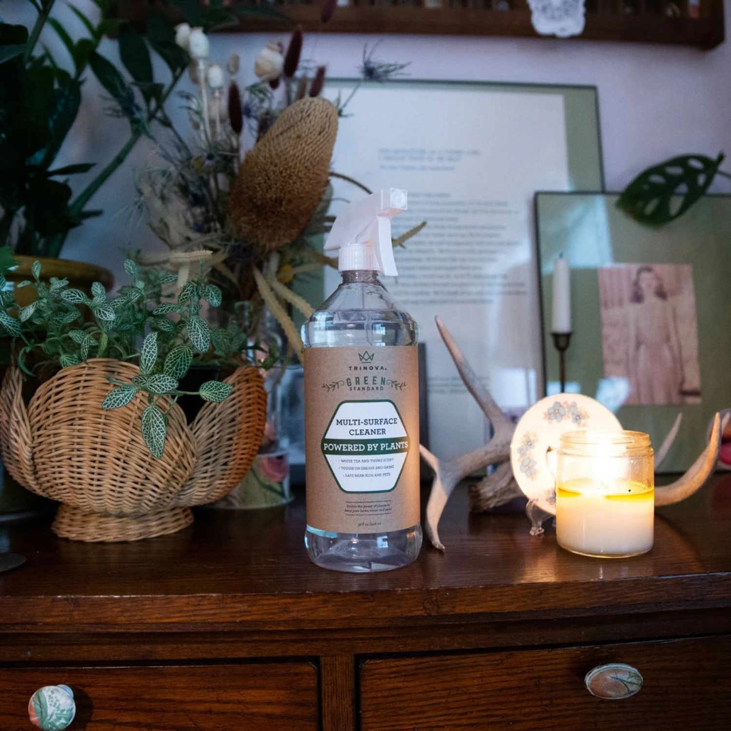 TriNova Natural Multi-Surface Dog, Cat & Small Pet Cleaner, 32-oz Bottle, 2 Count 6 TriNova Natural Multi-Surface Dog, Cat & Small Pet Cleaner, 32-oz Bottle, 2 Count - Image 6